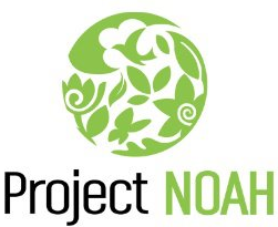 Project NOAH
